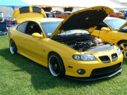 Goat Gto
